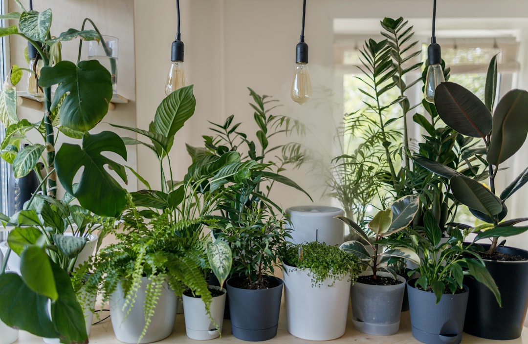 Vertical plant wall with various houseplants in a modern apartment