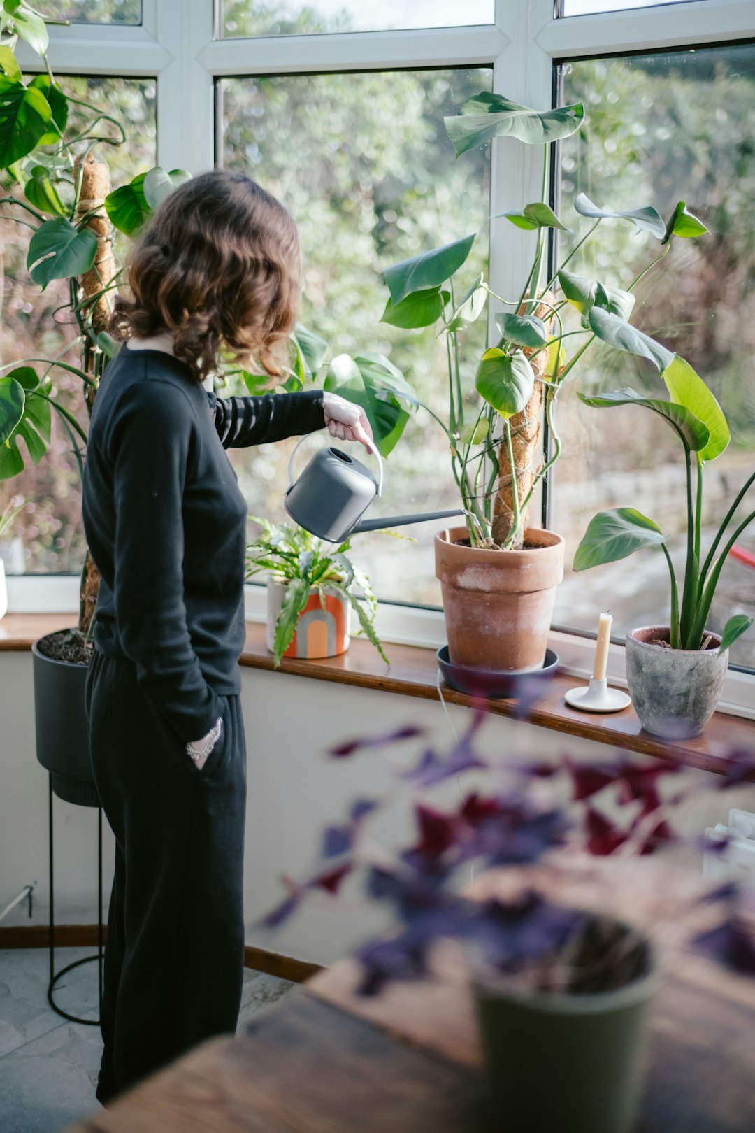 Applying beneficial nematodes to garden soil