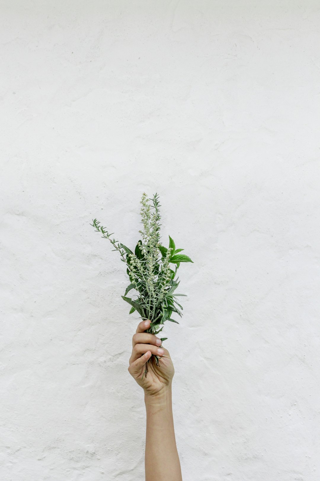Vertical Gardening